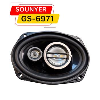 باندسانیر6971