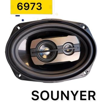 باندسانیر6973